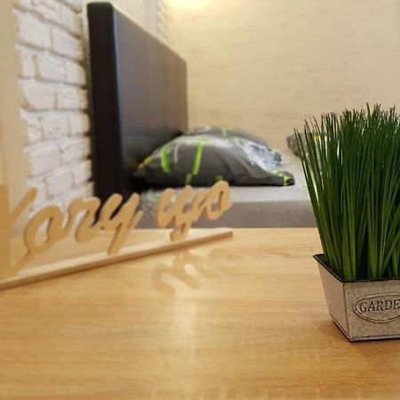 New Luxury Studio Apartment 이바노프란키우스크 외부 사진